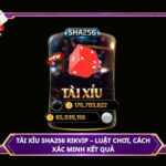 Tài Xỉu SHA256 Rikvip – Luật chơi, cách xác minh kết quả